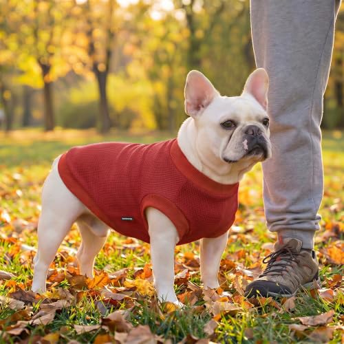 Image of 1 Pack Dog Shirt for Small Supplies Functional Waffle Dog Clothes Warm Soft Sweatshirt Outfit for Dogs Cats Pet Apparel