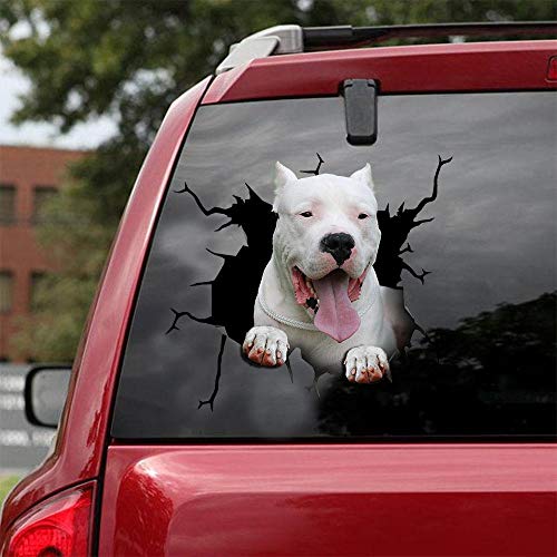 Dogo Argentino Car Decals, Wall Decals Stickers Pack of 2 - Reali...