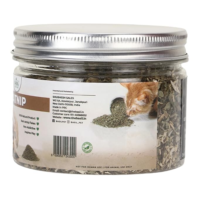 WaggyTails Premium Basil Cat Nip All Natural Fresh Leaves & Flowers for Cat | Favourite Herb for Cats & Kittens 30 GMS in a Jar (Pack of 2) 3