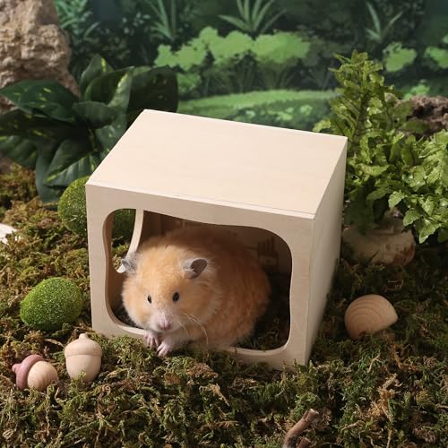 Tafit Esconderijo de hamster, câmara de madeira, pequenos animais de estimação, túnel de exploração,