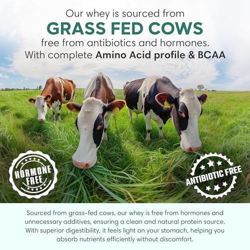 Image of Foodstrong Whey Protein Powder (Concentrate + Isolate), 100% Hormone Free Grass-Fed Whey, 26G Protein & 6.6G BCAA, Unflavoured, With Turmeric & Digestive Enzymes, 35G