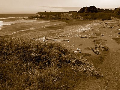 Pico Creek Fine Art Photo Cambria Big Sur By Michael Verlangieri