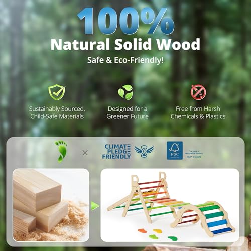 Image of BlueWood 10-in-1 Pikler Triangle Set, Toddler Climbing Toys Indoor, Montessori Climber, Baby Jungle Gyms with Arch, Extra Rope Ladder & Footprint Balance Beam - Neon Aurora