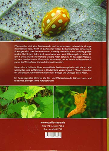 Faszinierende Pflanzenpilze: Erkennen und