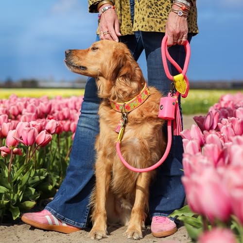 Dog with a Mission - Hundehalsband L | Lotus | Leder Rosa, blau, gelb | Hübsch, Boho, Hippie | Große Hunde | Handgemacht | Modisch und Bunt | Aus weichem Echtes Leder | Luxe | 2,5 cm Breit