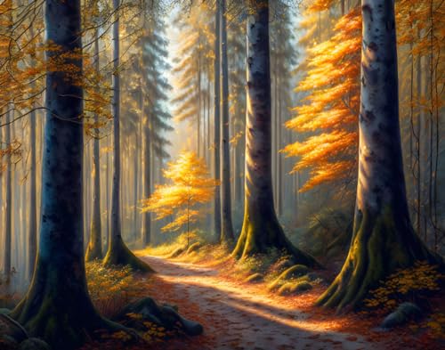 Toile forêt d'automne 58x90 cm poster mural pour mur vide