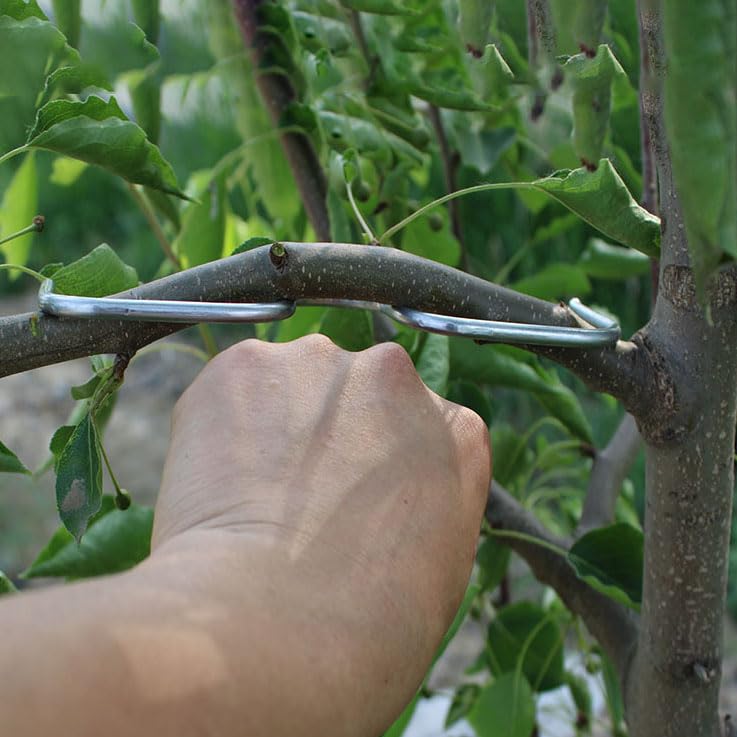 Herramienta para modelar ramas de árboles frutales miniatura 3