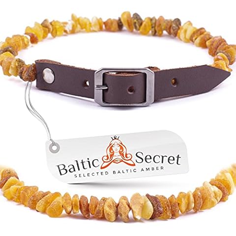 Baltic Secret Bernsteinkette Hund, Zeckenschutz Hunde, Bernsteinhalsband Hunde, Flöhe Hund, Zeckenschutz Katze Cover