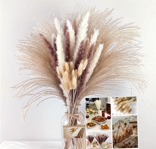 Ramo de Hierba Pampas Secas para Decoración miniatura 1