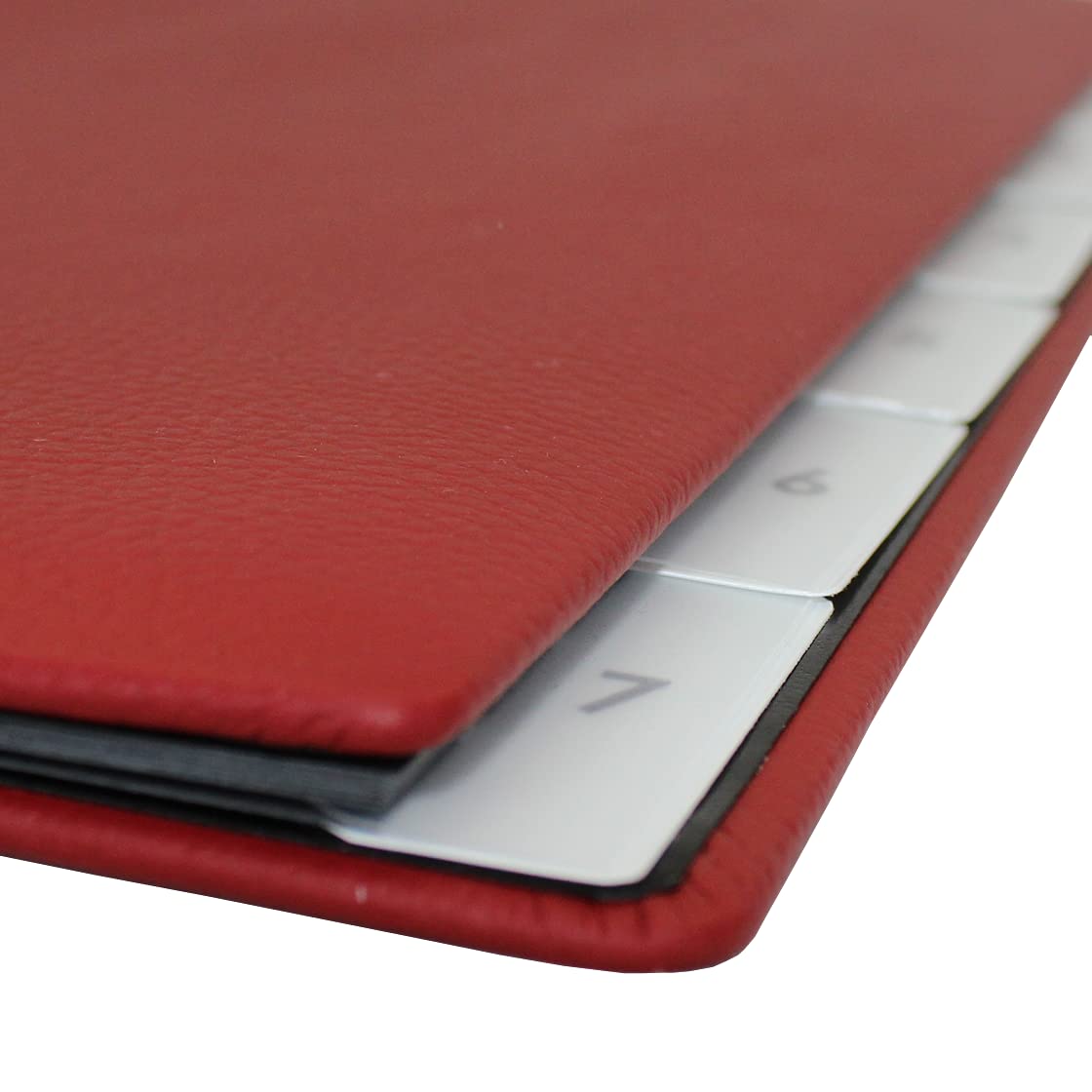 Classificatore in pelle bovina pieno rosso con registro 1 – 7