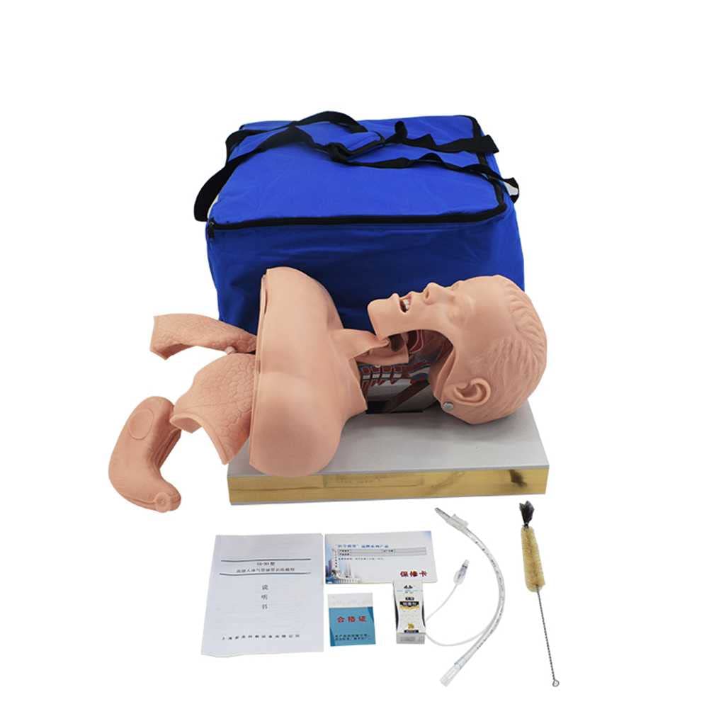 Buy TWFJEL HDE/58 Advanced Adult Intubation Manikin Teaching Model, PVC Tracheal Intubation