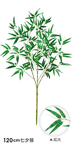 七夕デートですること７選 カップルにおすすめの過ごし方とは ぺんぎんの居場所