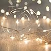 Light4Fun Ledlichtsnoer, micro, met 100 leds, decoratief in warm wit