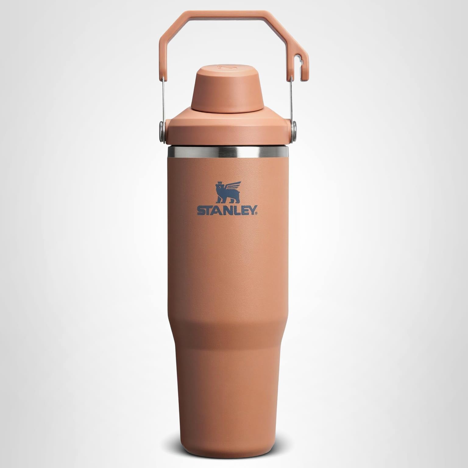 Amazon.com: Stanley IceFlow 2.0 Fast Flow Tumbler with Handle 30 oz | Twist  On Angled Spout Lid | Leakproof Water Bottle | Insulated Stainless Steel |  BPA-Free | Toast : Home & Kitchen