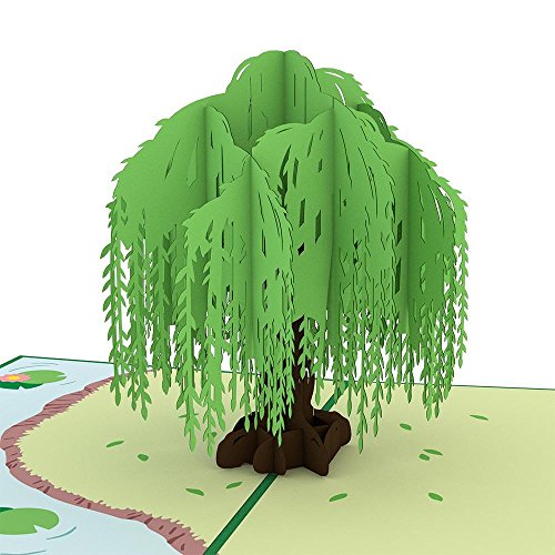 Lovepop Willow Tree 3D Pop-Up Greeting Card