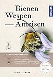 Bienen, Wespen, Ameisen: Staatenbildende Insekten Mitteleuropas - Heiko Bellmann