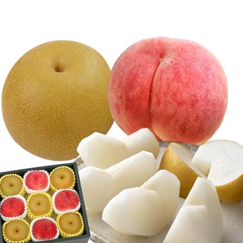 NŌ̗Zbg 12 Ɠt@Ci{bNX3kg i߂AjFGiA4 iÂAjFGiA5