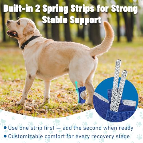 Image of Dog Leg Braces for Back Leg- Hock and Ankle Joint Support Brace for Rear Legs with 2 Metal Strips, Reflective Edging for Sprain, Injury, Arthritis, Wound Recovery,Blue,S