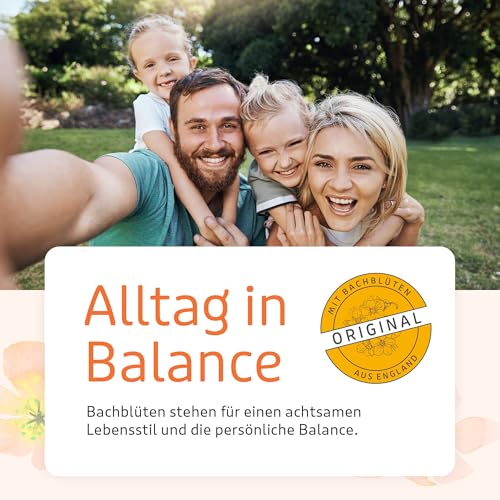 Murnauers Bachblüten Konzentrier Dich Globulini 3 x 10 g | Achtsamkeit und Inspiration| Mit Original Bachblüten nach Edward Bach aus England|Hergestellt in Deuschland