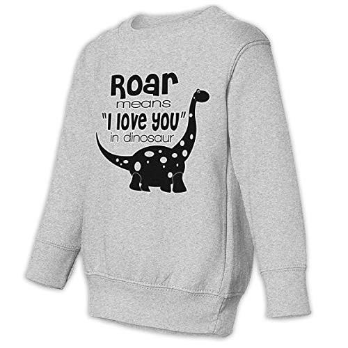 Roar Means That I Love You Dinosaurs Baby Sweatshirt Stylish Juvenile Hoodies Cotton Outfits