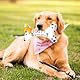 Pluvyze Hunde Geburtstag,Hundespielzeug Geburtstag,Hund Geburtstag, Haustier-Hundekuchen-Knorpelspielzeug Geburtstagsgeschenke für Kleine und Mittelgroße Hunde