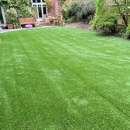 Image of American Imported Bermuda Lawn Grass Seeds for Home and Gardening (Pack of 7000 Seeds) A 55