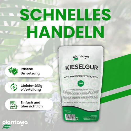 PLANTAWA Kieselgur Pulver 1kg | Hochwertiges Diatomeenerde für den Gemüsegarten, Schädlingsbekämpfung, Saatgutkonservierung | Nachhaltig und Rein, Verpackung kann variieren