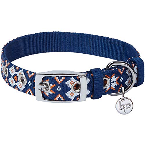 Collier pour chien boucle en métal résistant et sangle ajustable