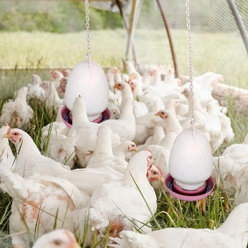 2pcs Hängende Kette für Geflügeltrinker -Feeder 2m Edelstahlkette mit 4 Haken Hochleistungskette für Hühnerfuttermittel Vogelfuttermittel Hähnchen -Zubehör für 80 kg Laden 80 kg