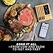 MEATER Block: WiFi Smart Wireless Meat Thermometer | 4 Probes, Long Range | Perfect for BBQ, Oven, Grill, Kitchen, Smoker, Air Fryer | Apple Watch, Alexa Compatible | iOS & Android App