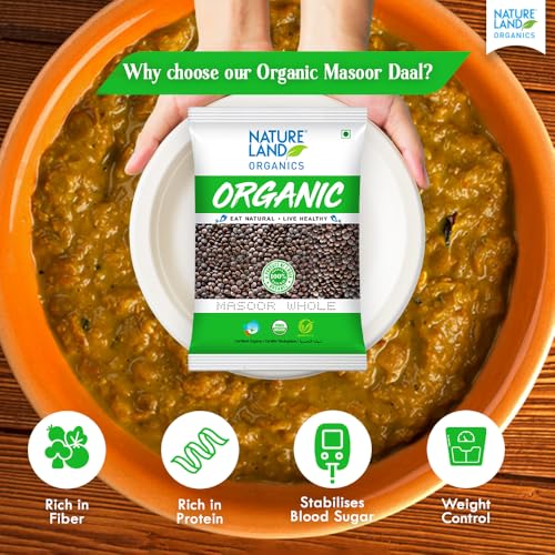 Image of Natureland Organics Masoor Whole /Sabut 500 Gm (pack of 3) - Organic Healthy Pulses
