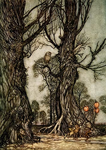 Affiche Toile Peter Pan Arthur Rackham Impression Portrait 60x90cm