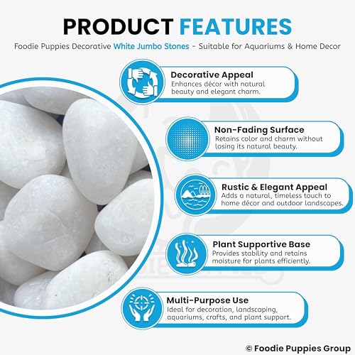 Image of Foodie Puppies White Polished River Rock Stones (White Jumbo, 1Kg) (4cm - 6cm, Extra Large) Decorative Pebbles for Aquarium /Fish Tank, Garden, Home Decor & Pool, Natural Polished Unplanted Substrate