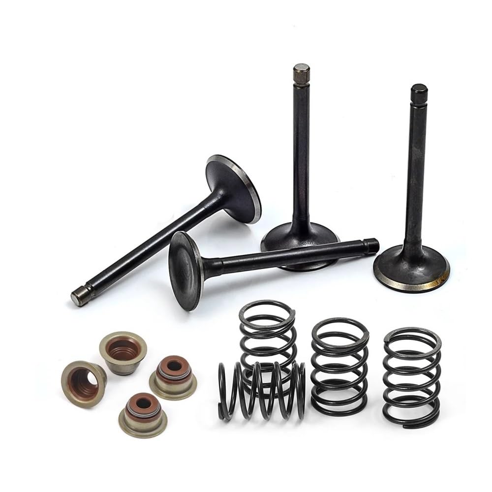 Guarnizioni di aspirazione a molla for carrello da a gas a 4 tempi 295 cc 350 cc 1996-2008 72507-G01 72508-G01 Parti di ricambio