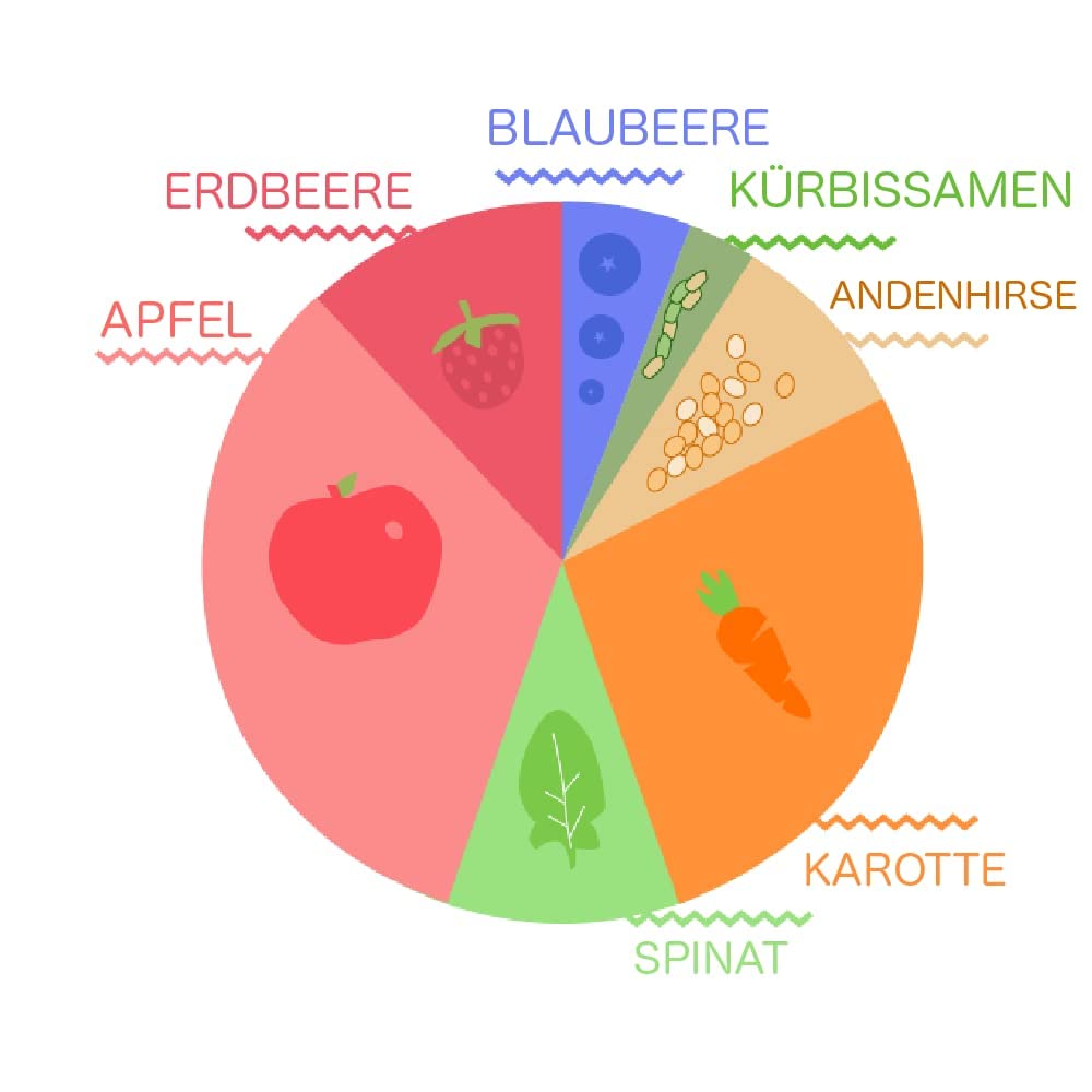 Little Inca Yummy Purple (6 x 100 g) | Recycelbare Beutel mit pflanzlicher Bio-Babynahrung auf Quinoa-Basis, schont den Darm und fördert die kognitive Entwicklung | Laktosefrei | Ab 6 Monaten