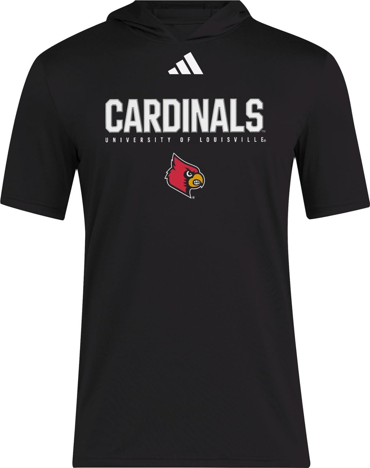 adidas mens Ncaa 25/26 Designed for Training Team Short Sleeve Hoodie