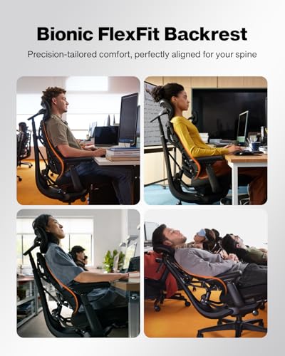 Steelcase Leap V2 chair