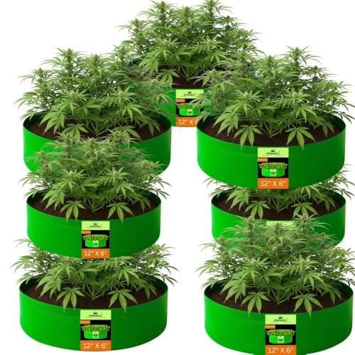 Image of Kingwell grow bags 12x6 inch pack of 7 Grow Bag For Terrace Garden Leafy Vegetable Plant Grow Bags Fruits Growing Containers For terrace Gardening