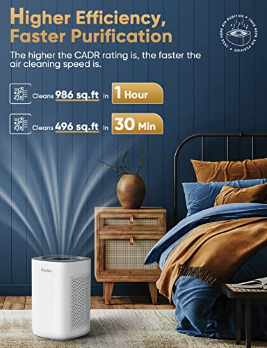 Air Purifiers For Home Large Room Up To 1000 Ft², Smart Wifi Control, Removes 99.97% Of Particles With H13 True Hepa Filter For 3-Stage Filtration, Air Cleaner For Allergies, Pets, Smoke #TOP1