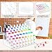 YEXEXINM 2 Pack Acrylic Paint Tube Organizer 40 Slots,5 Layers Watercolor Paint Tube Holder Organizer with Clear, For Mini Oil Paints Tube,Small Watercolor and Spray Paints（Fits ≤2.5cm items.）