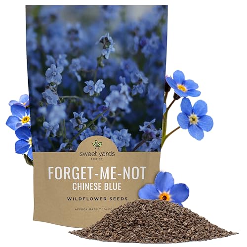Chinese Forget Me Not Wildflower Seeds - Bulk 1/4 Pound Bag - Over 22 000 Open Pollinated Seeds - Blue Cynoglossum amabile