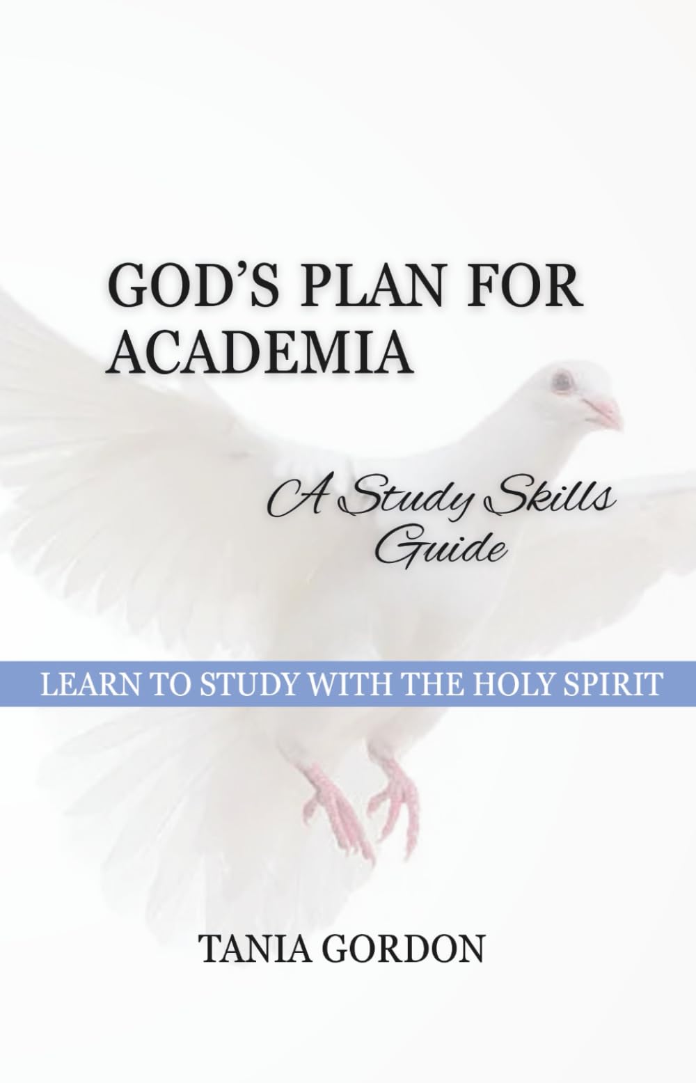 God's Plan for Academia: A Study Skills Guide, 7 Holy Spirit-Led Principles for Effective Learning and Study Habits