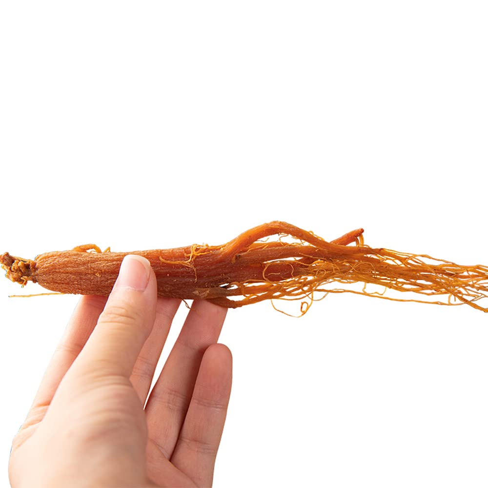 Red Korean Ginseng Whole Root Pieces - 100g / 3.5oz - Natural Panax Roots