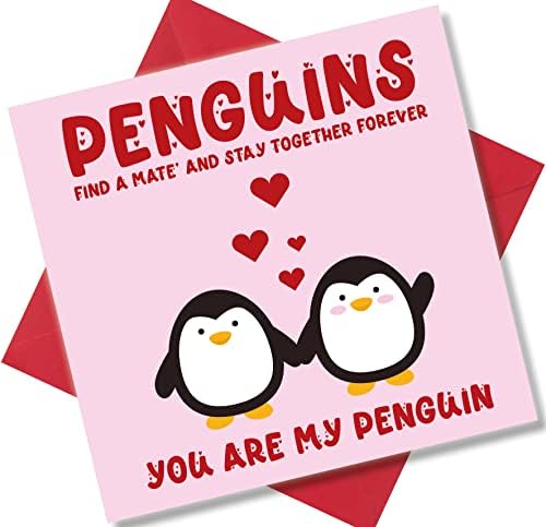 Punkcards - Valentine's Day Card for Husband - ‘Penguins Find a Mate