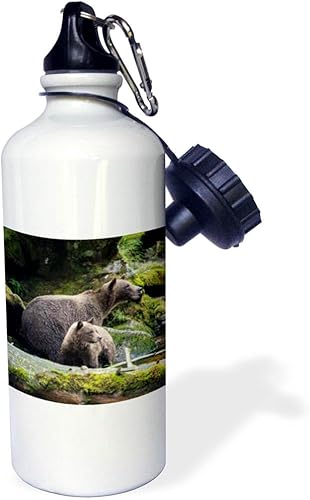 Miniatura 1 de 3dRose Brown bear cub staying close to mom at Anan Creek. - Water Bottles (wb-380601-1)