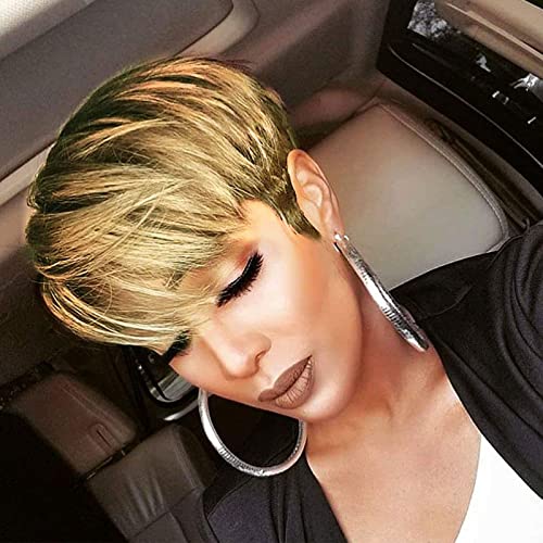 VRZ Short Curly Human Hair Wigs pixie Cut Summer Short Hair Wigs for Women Black Color (Layered 1B/33#)