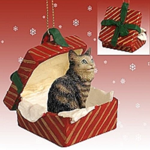 Conversation Concepts Brown Maine Coon Cat Gift Box Red Ornament