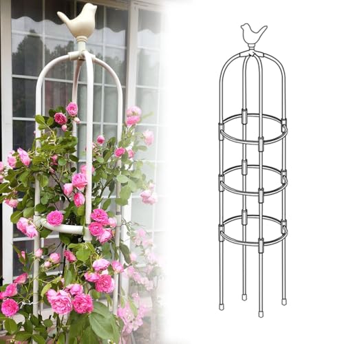 Genérico Enrejado De Jardín para Plantas Trepadoras Obelisco De Metal Soportes De Vides Rosa para Macetas Interiores En Interiores Diámetro 20cm 25 Cm 28 Cm 32cm 36 Cm 40 Cm(Blanca,25x175cm)