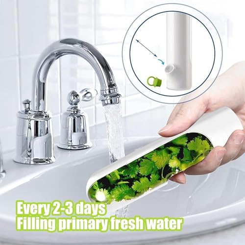 Image of JAYMUKESH & CO. Fresh Herb Keeper for Fridge | Airtight BPA-Free Herb Storage Box, Transparent Container Keeps Coriander, Mint, Cilantro & Parsley Fresh Longer (1 Pc)
