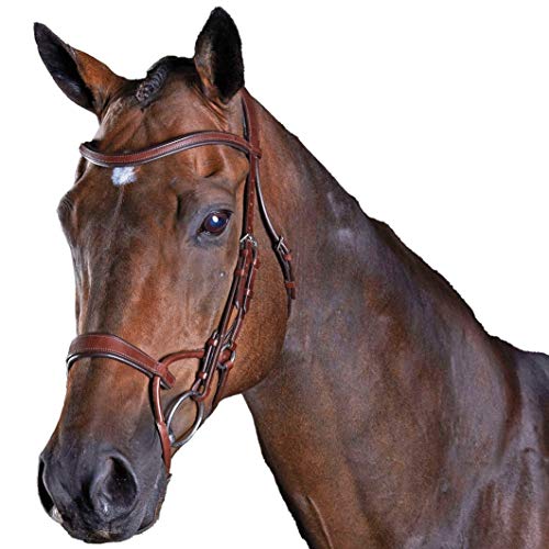Bride d'entraînement Comfitec marron Collegiate pour cheval